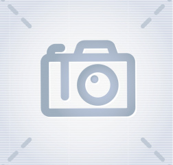 gal image